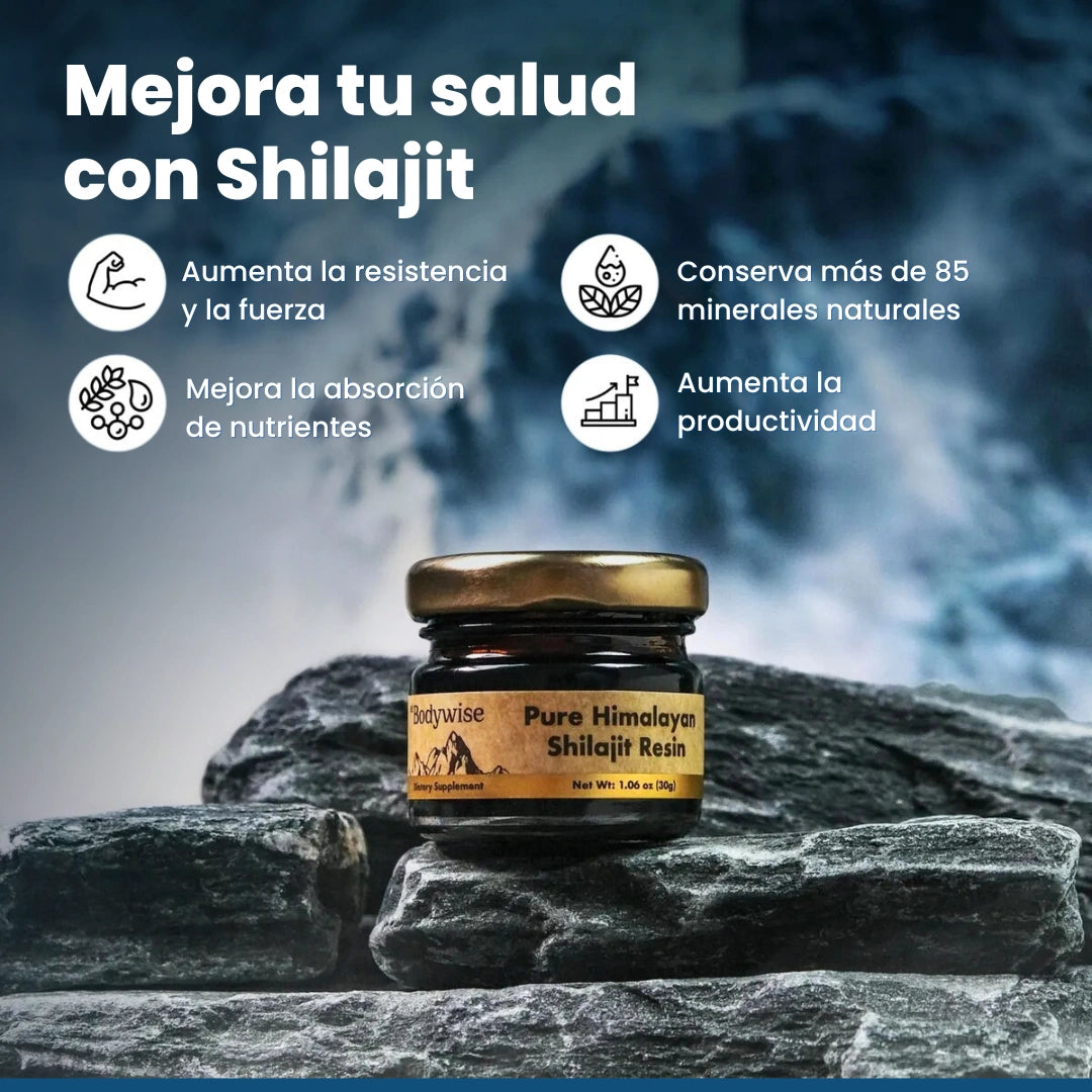 RESINA SHILAJIT PURA DEL HIMALAYA – BODYWISE