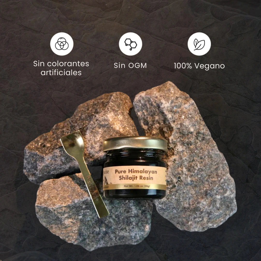 RESINA SHILAJIT PURA DEL HIMALAYA – BODYWISE